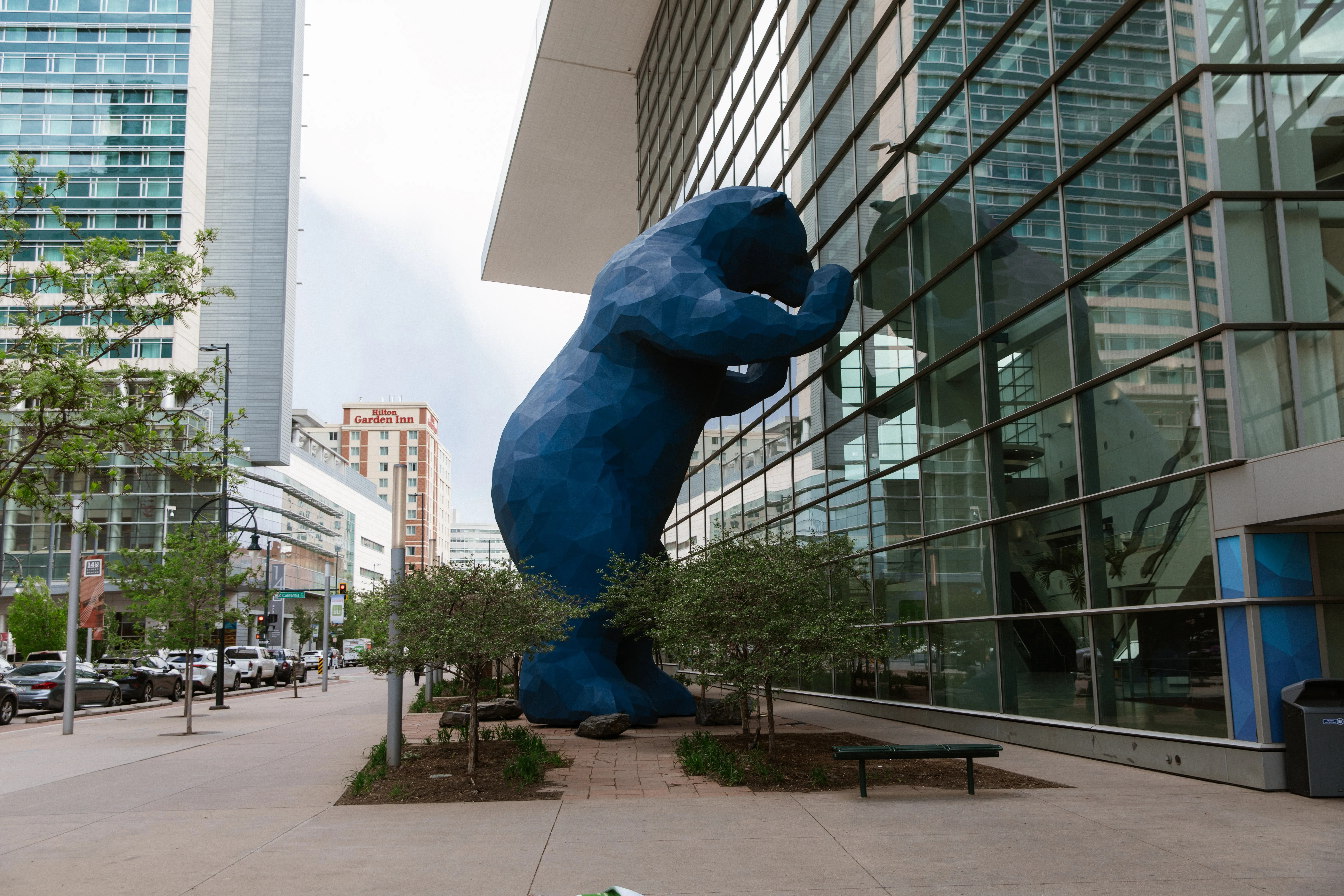 Blue Bear reflection against the glass facade